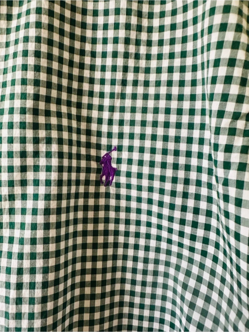 Ralph Lauren Green and White Gingham Button-Down Shirt